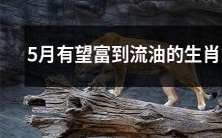 五月有望财源广进、大展宏图、春风得意的十二生肖