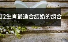 探究不同生肖之间的婚姻匹配度,推荐最适宜结婚的12生肖组合