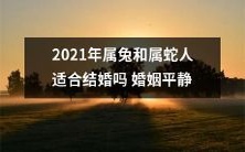 2021年属兔和属蛇人是否适合走入婚姻殿堂?婚后是否能保持安稳和谐的关系呢?