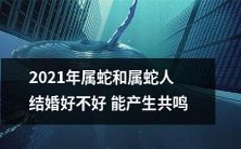 2021年属蛇的人和属蛇人之间结婚,是否可以共鸣并创造美好姻缘?