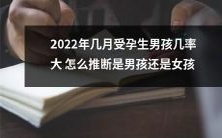 如何根据2022年不同月份的受孕时机推断生男生女的几率:探寻预测宝宝性别的方法