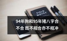 1994年出生的狗和1995年出生的猪,命理学上是否具有合既不相合亦不相冲的特征?