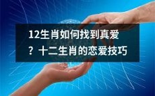 如何在爱情中脱颖而出?十二生肖的情感策略解析