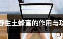 研究与探讨:野生土蜂蜜丰富多彩的作用和功效,包括其对身体健康的积极影响以及其在日常生活中的多种用途