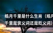 究竟皓月千里到底是哪个生肖?此表述在语境中是被赞美还是被批评?