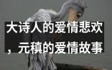 揭秘大诗人元稹的爱情经历:从悲欢离合到永恒不灭的爱情故事