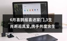 6月喜鹊带来好消息:3个生肖在此邂逅真爱,欢聚一堂携手共度余生!