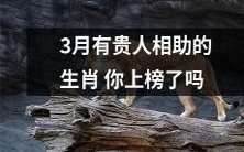 你是否也在3月得到了贵人相助的生肖名单中?