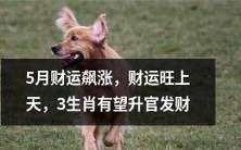 五月财运水涨船高,财源滚滚而来,三个生肖享有晋升发财的大好机会!
