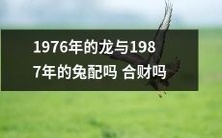 1976年出生的属龙和1987年出生的属兔能够在财富上产生合作关系吗?
