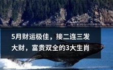 五月财运亨通,接二连三财源滚滚而来,迈向财富与成功之巅的三大幸运生肖