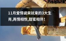 11月爱情即将降临:揭晓3个幸运的生肖,能够拥有甜蜜恩爱的双方,共享爱情的美好!