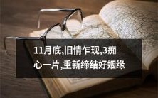 11月底重逢旧爱,三位操心之人的痴情再次燃起,共同诠释复合后重新缔结幸福婚姻的故事