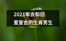 2021年逢旧爱复合,星座属相男生们的情感故事