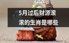 哪些生肖将在5月之后享有滚滚财源的好运?