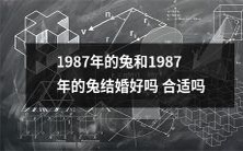 1987年出生的兔能否与另一个1987年出生的兔结婚,这种组合是否合适?
