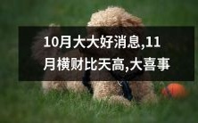 10月带来了好消息,而11月却带来比天高的横财,这确实是个大喜事!