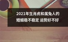 2021年生肖虎与属兔人的婚姻运势分析:稳定性与顺畅程度会如何?