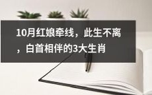 在10月由红娘引领而相遇,注定此生相伴相依,白首不离的3大生肖缘定一生