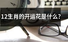 了解每个12生肖所对应的开运花会带来怎样的好运气?