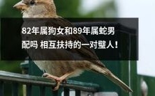 属狗女82年与属蛇男89年组合:一个彼此扶持的完美伴侣!