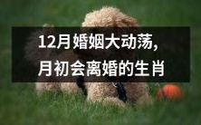 属相属11月都离婚的可能性较高,婚姻生变浪潮悄然来袭!