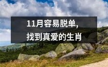 十一月最适合脱离单身状态,十二生肖中有哪些星座能够真正找到自己的真爱?