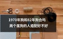 是否适合将1970年和1982年出生的两位属狗人进行婚配?