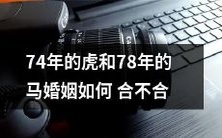 法?——探讨虎马婚姻的法律问题及其合法性分析