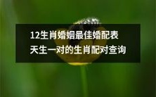 探寻生肖婚姻最佳婚配之道:详解12生肖配对表,揭示天生一对的生肖爱情配对查询