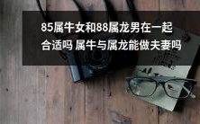 85年出生的属牛女和88年出生的属龙男是否适合成为夫妻?属牛人和属龙人能否相互匹配并建立美好的婚姻?