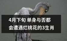4月下旬的厄运:三个星座单身或非单身都将遭遇烂桃花劫难