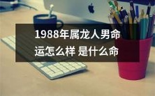 1988年属龙的男性运势如何?他是属于哪一种命格?