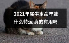 2021年是属牛本命年,戴什么样的饰品、配饰或服装能够促进运势转运效果?这种方式真的能够起作用?