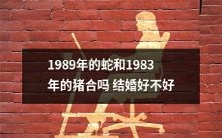 是否合适让1989年的蛇和1983年的猪步入婚姻殿堂呢?