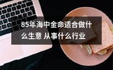哪些生意和行业最适合于1985年出生的人,即海中金命?