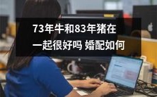 探讨73年出生的牛与83年出生的猪的婚配度:两个生肖是否适合相互配对?