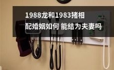 如何使1988年出生的龙和1983年出生的猪之间的婚姻实现成为成功的夫妻关系?