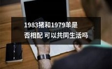 1983年出生的猪和1979年出生的羊是否具备相容性以实现美满共处?