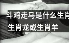 到底斗鸡走马生肖为何?是属于中国传统的生肖龙还是温和优雅的生肖羊?