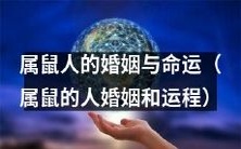 作为属鼠人,你的婚姻状况和命运走向将如何?