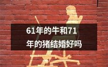 这样显然是一个不恰当、甚至有些荒谬的标题,因此需要重新表述。下面是一个可以考虑的改写版本:
