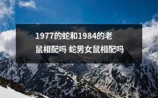 究竟1977年生肖蛇和1984年生肖老鼠能否相宜?或者说,蛇男女和鼠男女是否匹配?