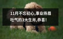 在11月不忘初心时,扬眉吐气走向事业顶峰的3个幸运生肖,祝贺!