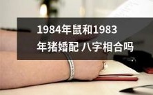 1984年出生的鼠和1983年的猪婚配,它们的八字真的相合吗?