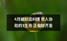 4月好运纠缠,贵人协助!3生肖成功偏财齐发,财源滚滚而来!