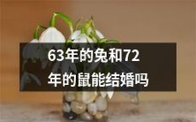 能不能结婚?63年的兔和72年的鼠之间的爱情难题引发探讨