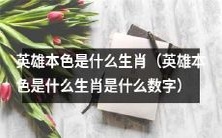 揭秘英雄本色为何如此魅力:揭示英雄本色生肖以及与之相关的数字