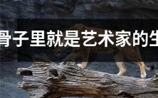 生来就是艺术家的星座特征:深入剖析骨子里的生肖性格与创意才华