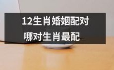 哪些生肖最适合婚姻配对?一探12生肖之间的默契度及性格差异对婚姻生活的影响